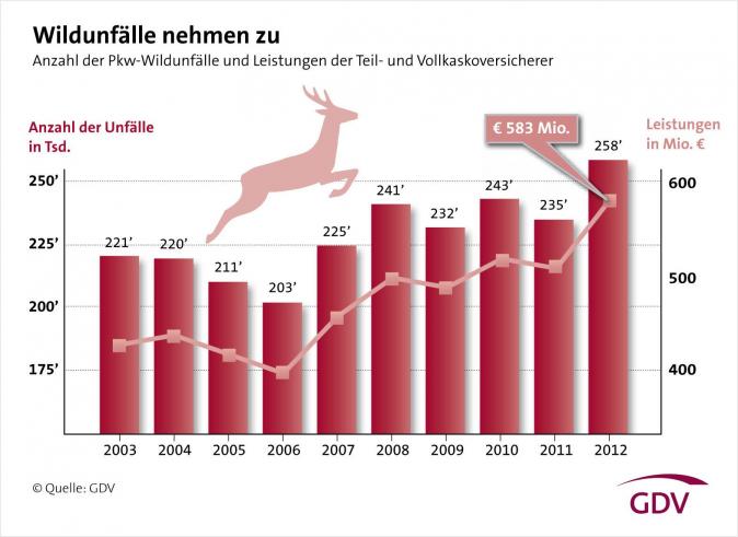 Wildunfälle nehmen zu